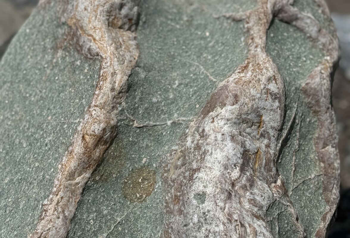Aktuelles